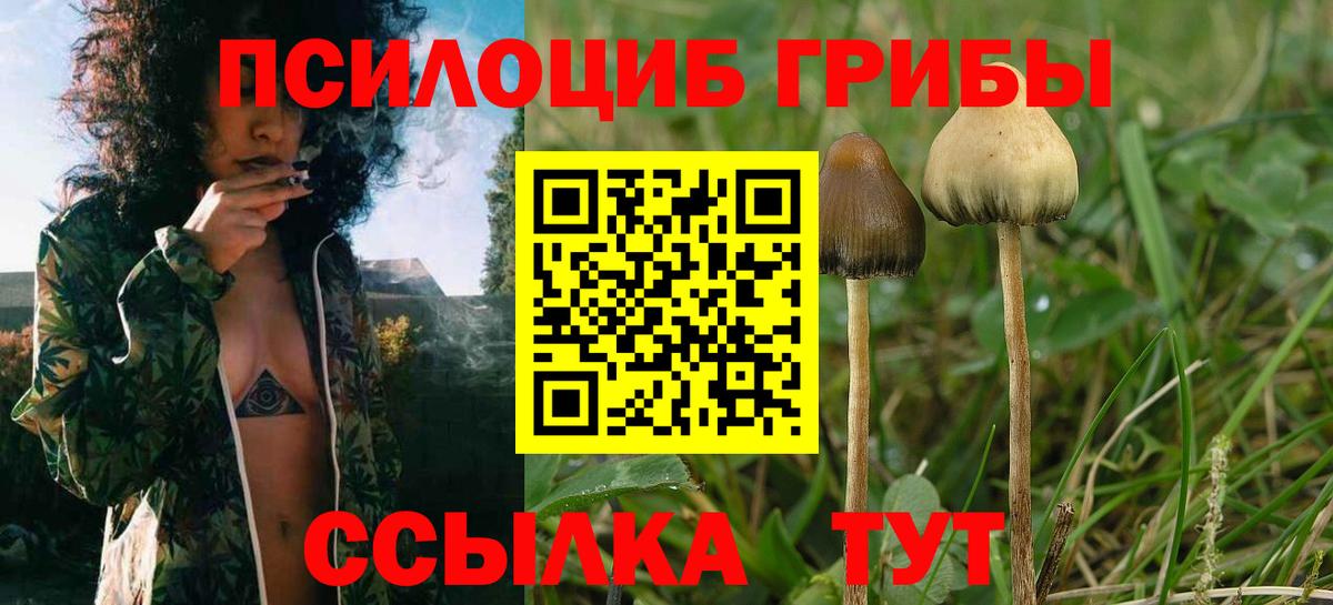 Галлюциногенные грибы GOLDEN TEACHER Саяногорск
