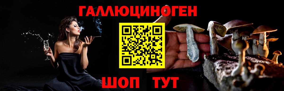 Псилоцибиновые грибы Psilocybine cubensis  Вход с VPN  Саяногорск 